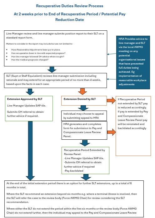 Recuperative duties review process.jpg