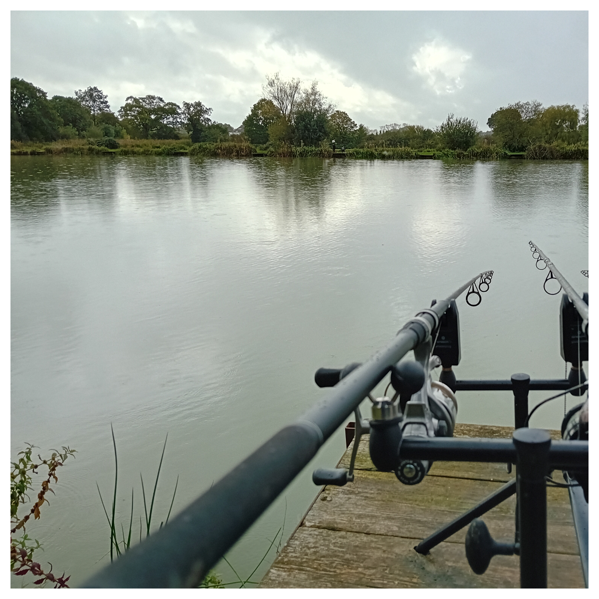 Fish Fest at Monks Lakes, Staplehurst
