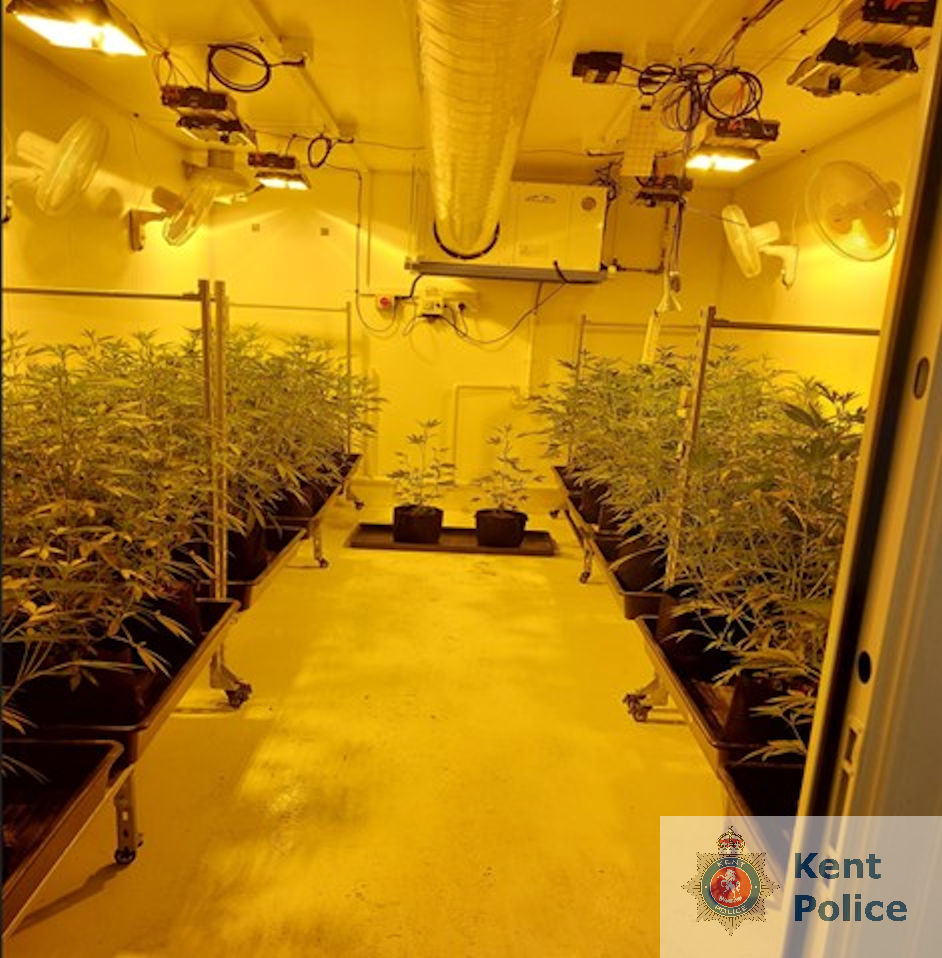 Cultivation interior_ WM