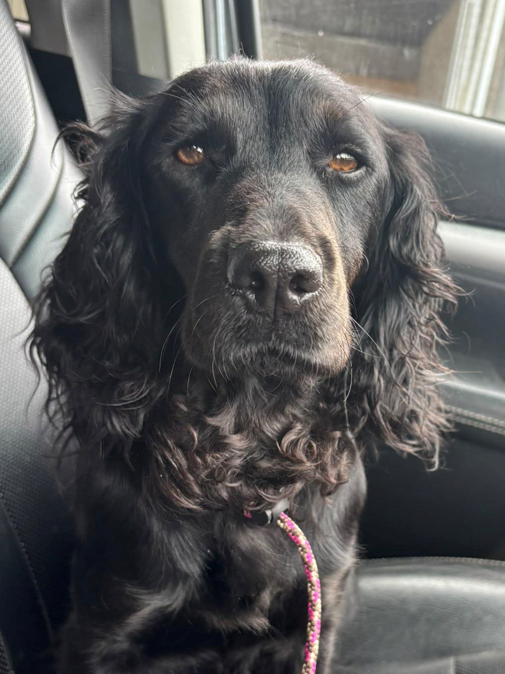 Betty Reunited 2