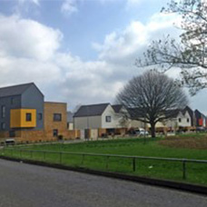 Image of Park Wood & Mangravet