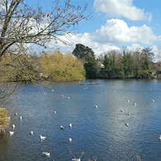 Image of Priory